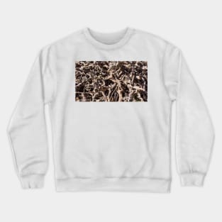 Grape Vine Cordon - Magpie Springs - Adelaide Hills Wine Region - Fleurieu Peninsula - South Australia Crewneck Sweatshirt